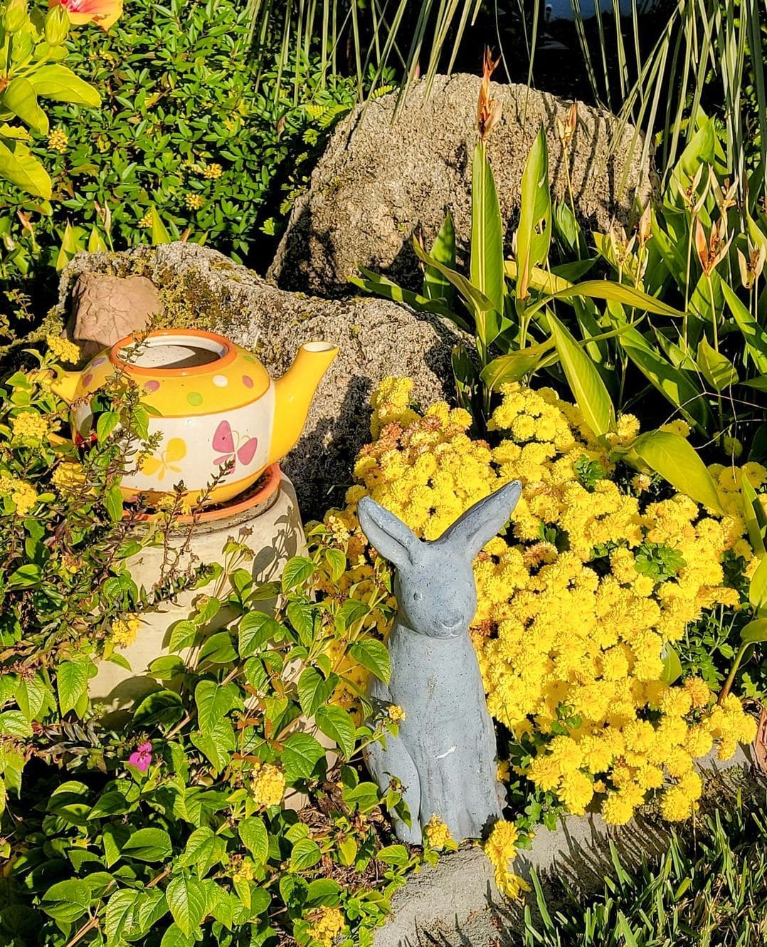 JardinMontagne 11