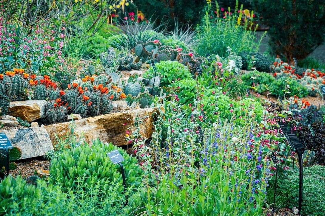 JardinMontagne 15