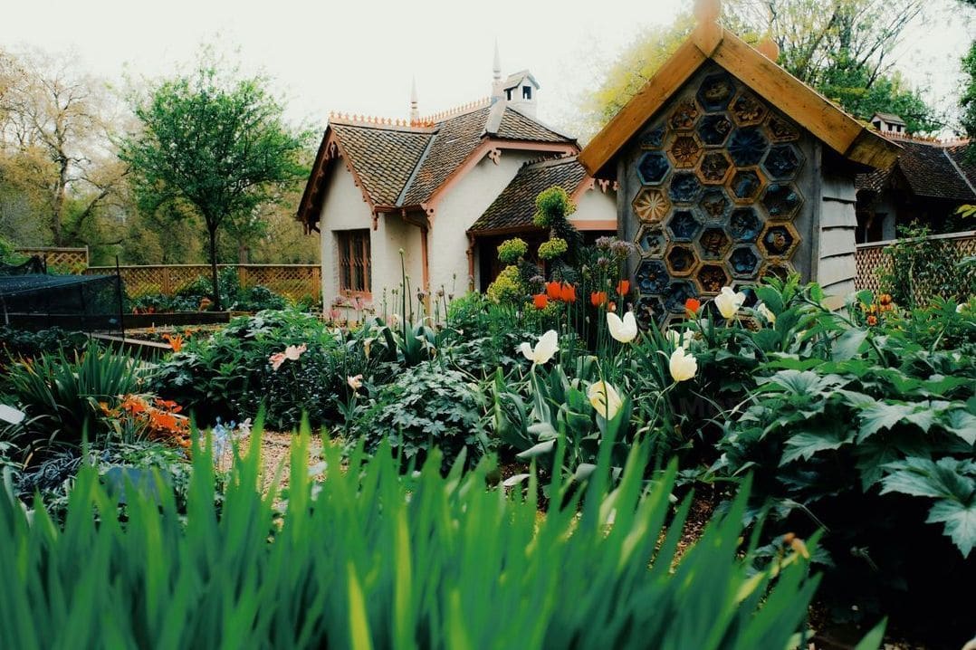 JardinMontagne 3